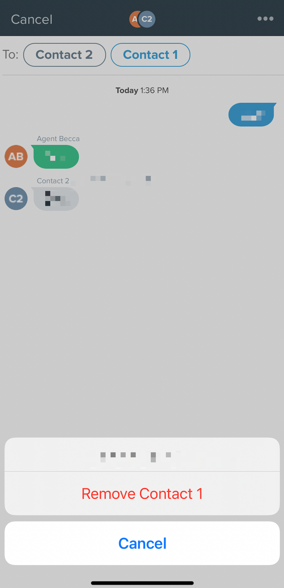 mceclip0.png